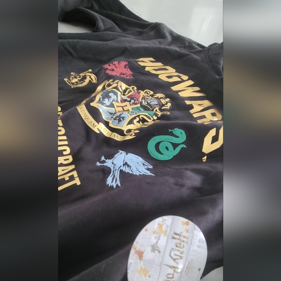 Gold Foil Harry Potter Hogwarts Hoodie - Picture 4 of 10